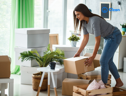 Home Organizing Services service
